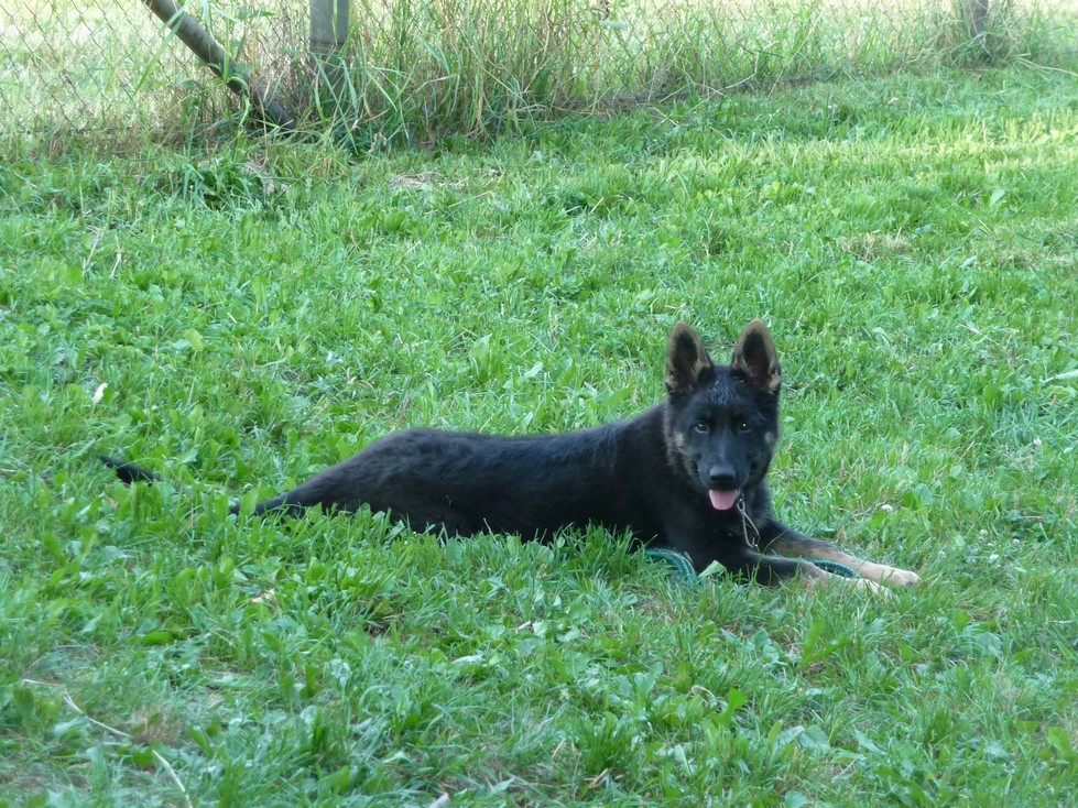 P1090346.JPG