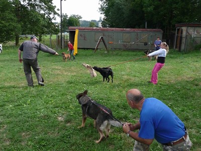 P1100139.JPG
