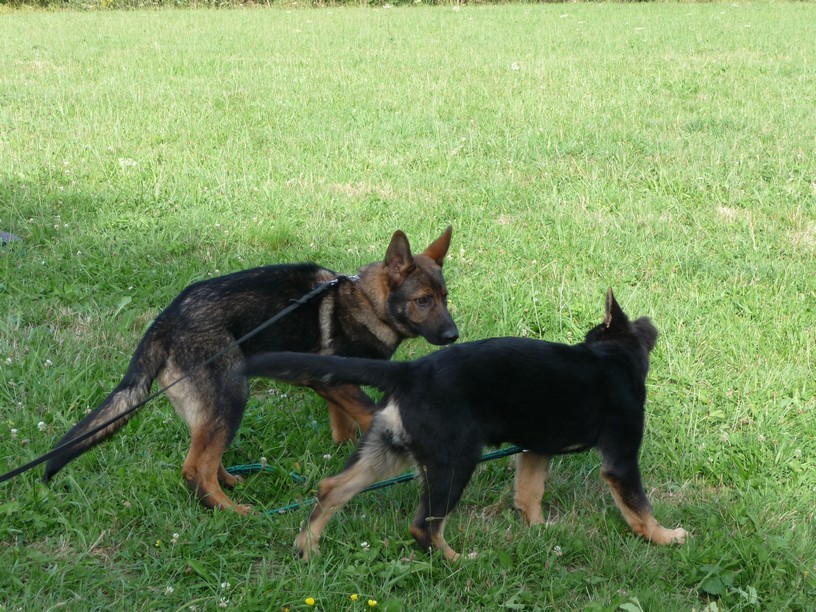 P1100733.JPG