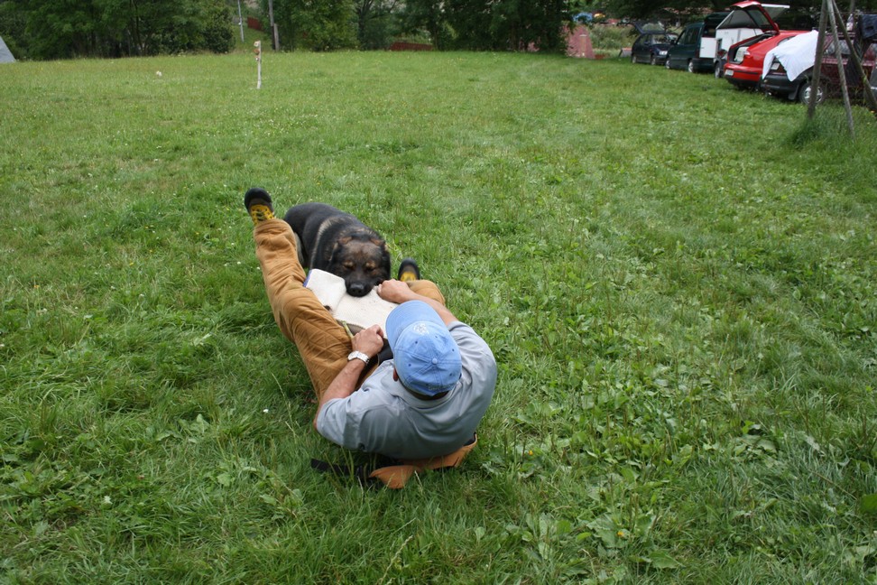 IMG_3862.JPG