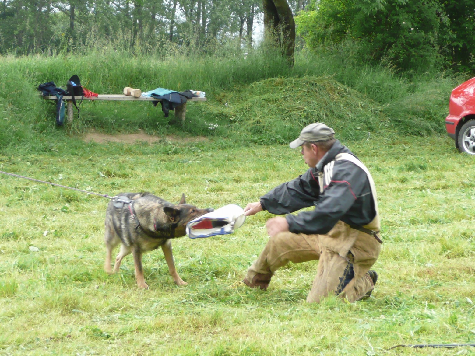P1020043.JPG